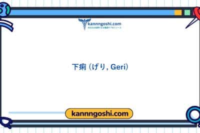 コード: 00013 - 看護診断NANDA: 下痢 - ドメイン 3: 排泄と交換 - クラス2: 排泄と交換